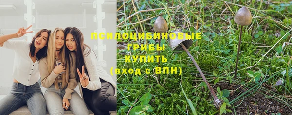 ПСИЛОЦИБИНОВЫЕ ГРИБЫ Алексин