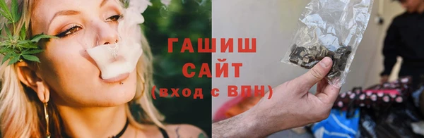 прущий лед Алзамай