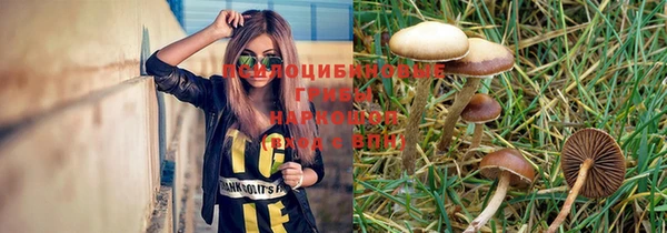 прущий лед Алзамай